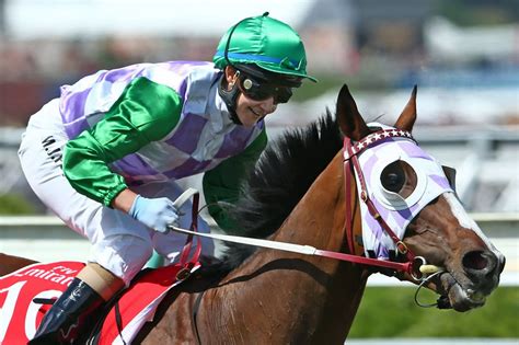 Melbourne Cup prince of penzance
